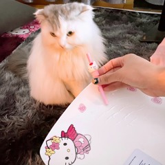 GiangLinh - Hay Cho Toi - CongLac