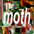 Artwork for moth [prod. saoirse h]