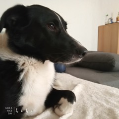Bitte bring mich wieder nach Hause