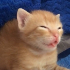 eepy? quick 10 to wake up