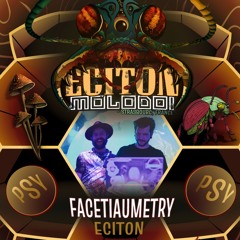 FACETIAUMETRY @ ECITON X MOLODOI 2025