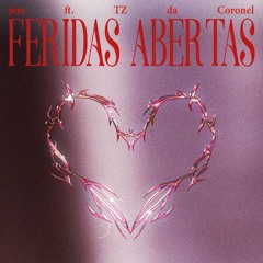 jess FERIDAS ABERTAS ft. TZ Da Coronel