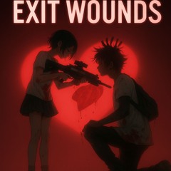 Exit Wounds