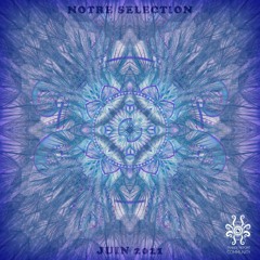 Psytransphere - Playlist Juin 2021