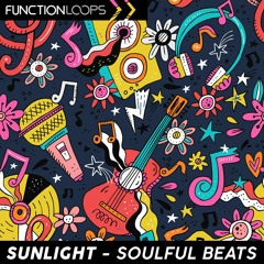 47 Packs for 47$ Xmas Bundle by Function Loops