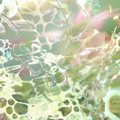 TOM.PSON 005 - Jun25