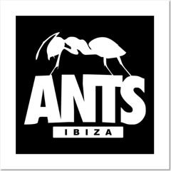 SASHA X ANTS NEXT GEN 2025