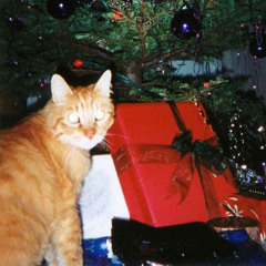 X-MUCH ❄️ ( XRT & HAUNT. )