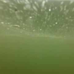 Plane Underwater