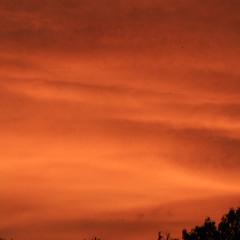 Back to the sun