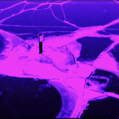 Icebreaker
