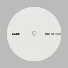 DNDR - Catch The Vibes (Original Mix) [FREE DOWNLOAD]