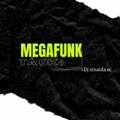MEGAFUNK - TA OK - DJ XINAIDA SC