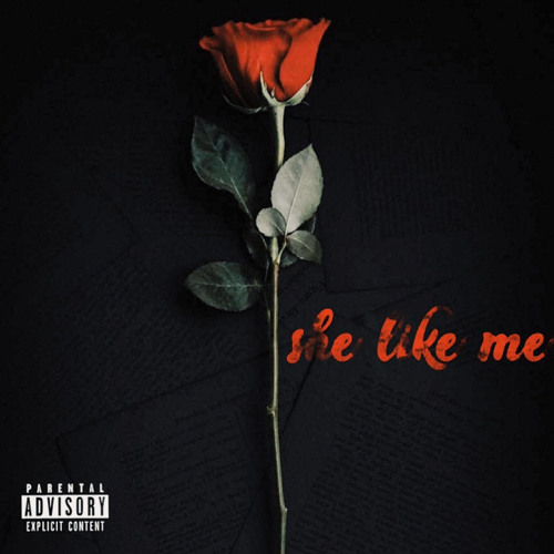 she like me (prod. skank)