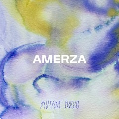 Amerza | Curated by Maximilian Klee [19.02.2022]