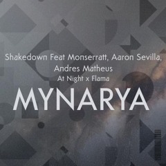 At Night x Flama ( MYNARYA EDIT ) FREEDOWNLOAD