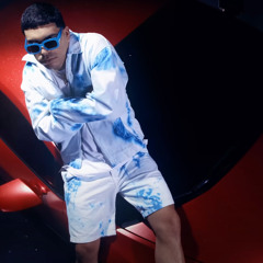 Wasa Wasa - Ryan Castro [Pocket Tincho Flip]