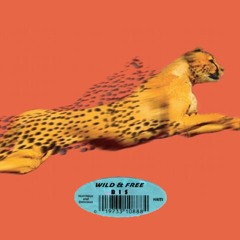 WILD & FREE (FREE DL)