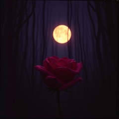 Her Lullaby (featuring lady-h3x)