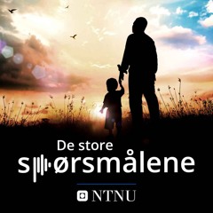 De store spørsmålene - en liten smakebit