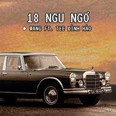"18 NGU NGƠ" - WANG ft. TEE ĐÌNH HÀO (prod. LUSIC)