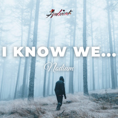 Nodium - I Know We...