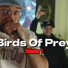 Birds Of Prey Volume 1