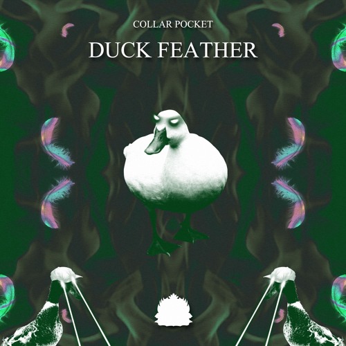 Collar Pocket - Duck Feather [Exclusive Release]