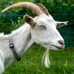 HK_Funky-Dub-Trap_tracks_36