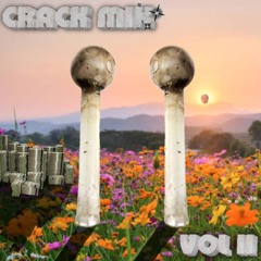 Crack Mix [Vol 2] (Freestyle)