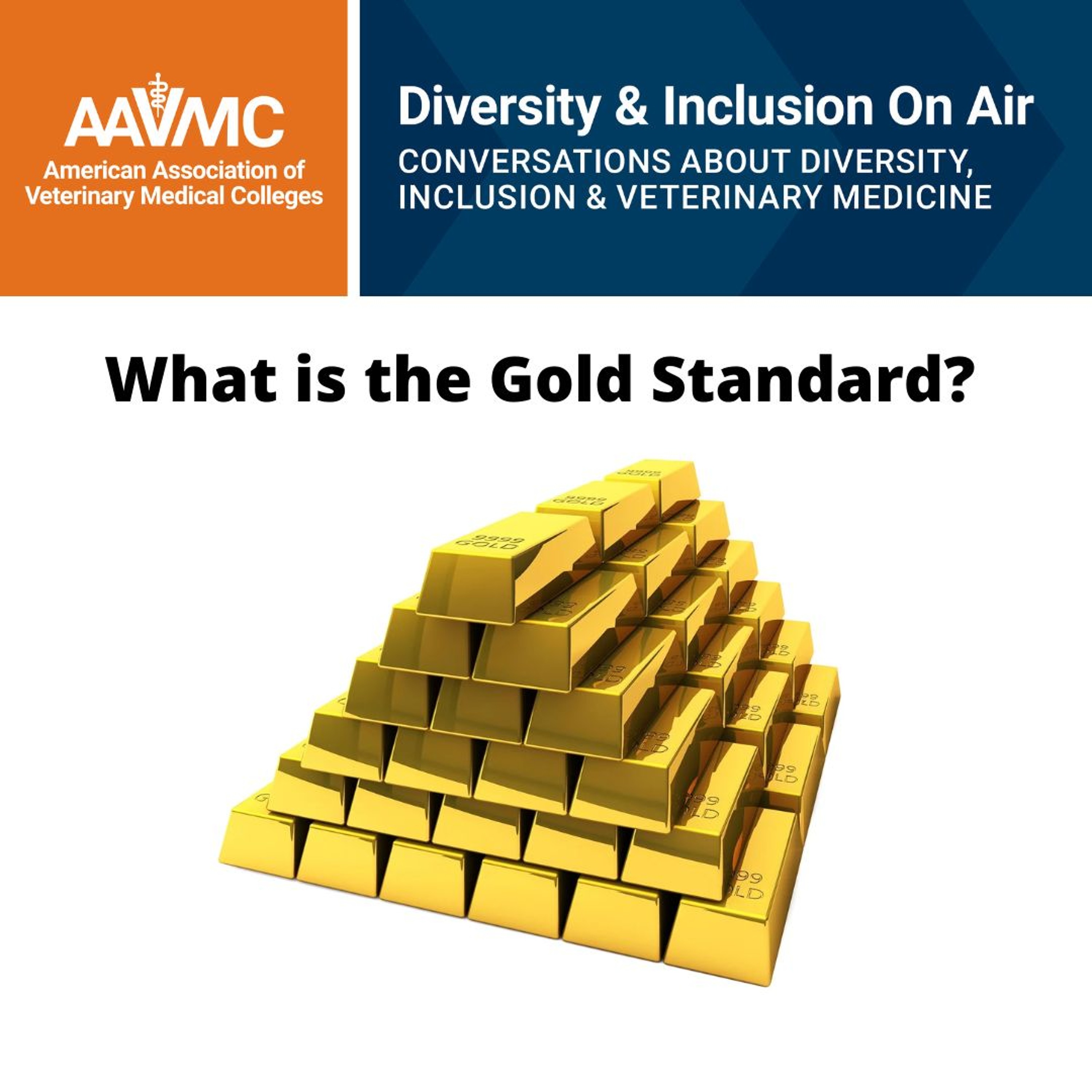 AAVMC\'s On Air: Conversations about Issues in Veterinary Medicine