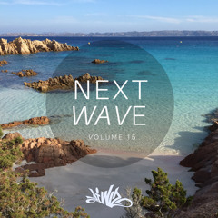 DJ Wiz - Next Wave Vol. 15 (2022)