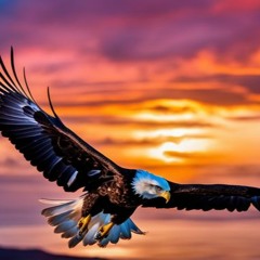 MG Transmission - Rain,Flights And Lightning Strikes