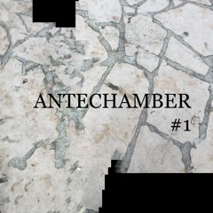 1# ANTECHAMBER #1_ 31.01.22