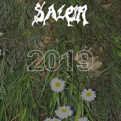 SALEM - Come Back To You