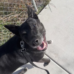 hi, its me - rock remix