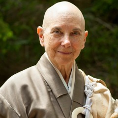 Dharma Talk by Shinge Roshi, April 16, 2020, via Zoom