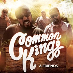 Common kings ft Fia alcoholic (FVCKNJAYCE MIX)