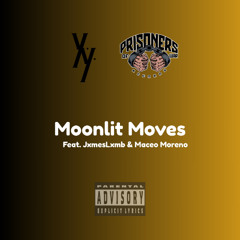 Moonlit Moves