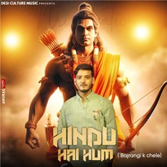 Hindu Hai Hum ( Bajrangi K Chele) [feat. Amit Baisla & Love Choudhary]