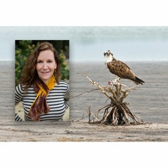 Ellen Windemuth, Wildlife Legend on Filmmaking & Conservation