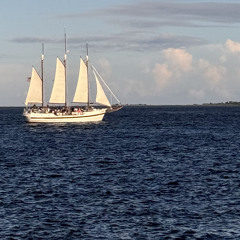 بوابة الريح - الثبيتي