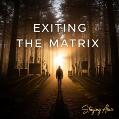 Exiting the Matrix