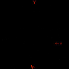 채워진 無