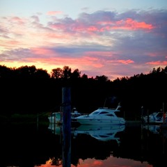 Coopex - Work from Home