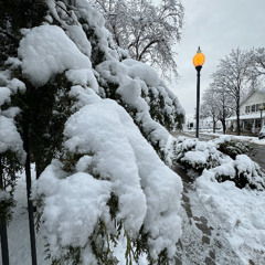 Decay & Attack - Tangerine