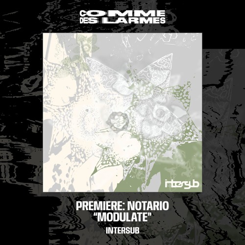 PREMIERE CDL || Notario - Modulate [Intersub] (2024)