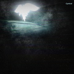 things don't shine like they used to (Cynical Beat Tape out now)