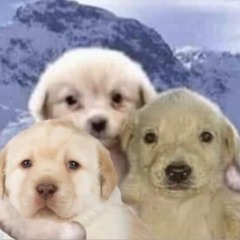 End The Cycle (w Lungskull and Xul)