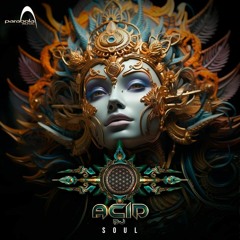 ACID DJ - Soul Fly (Original Mix) out now!!!